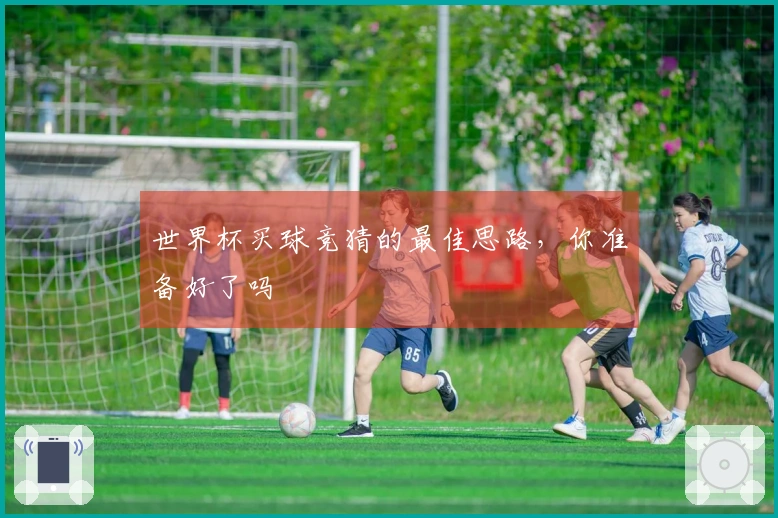 世界杯买球竞猜的最佳思路，你准备好了吗