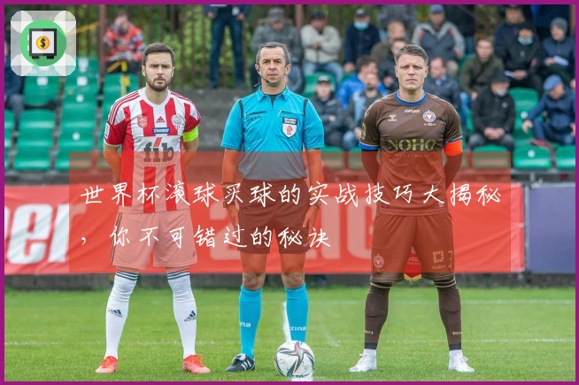 世界杯滚球买球的实战技巧大揭秘，你不可错过的秘诀