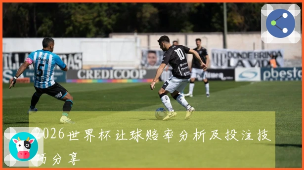 2026世界杯让球赔率分析及投注技巧分享