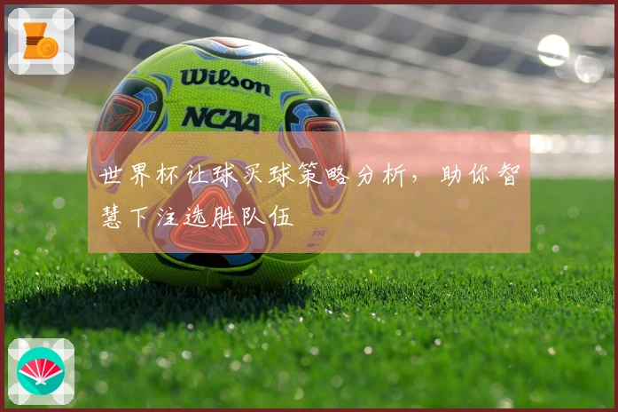 世界杯让球买球策略分析，助你智慧下注选胜队伍