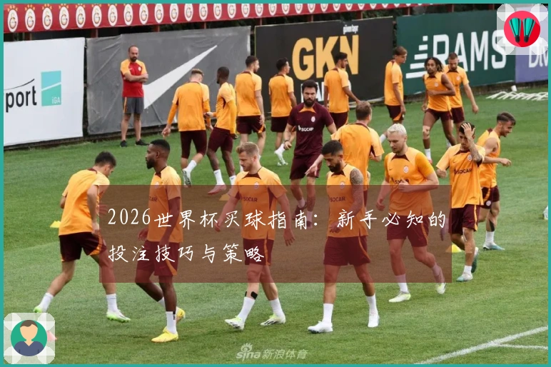 2026世界杯买球指南：新手必知的投注技巧与策略