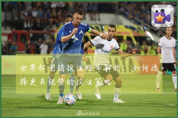世界杯竞猜投注赔率解析：如何选择更具优势的投注策略