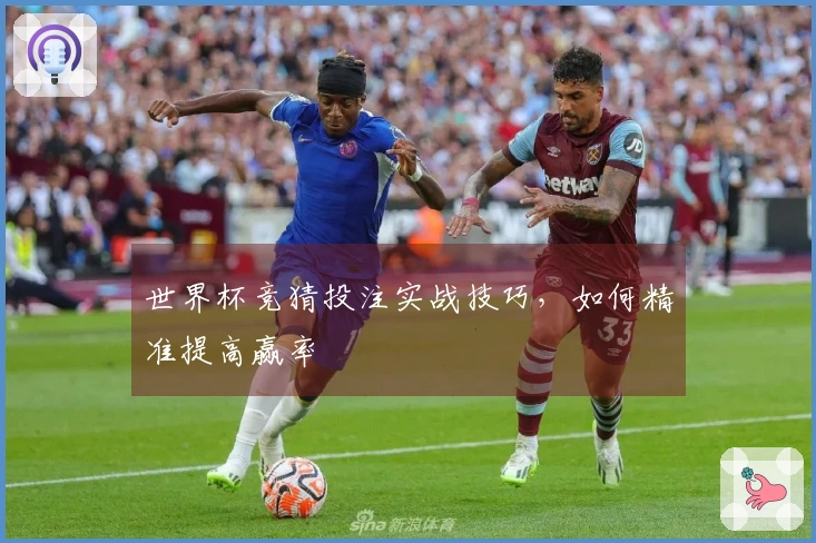 世界杯竞猜投注实战技巧，如何精准提高赢率