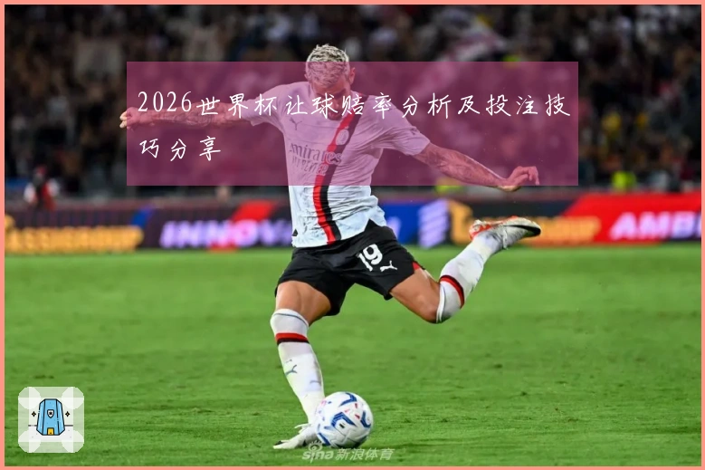 2026世界杯让球赔率分析及投注技巧分享