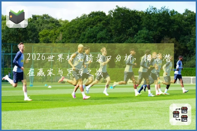 2026世界杯竞猜盘口分析，揭示潜在赢家与黑马之战