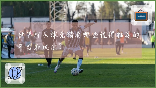 世界杯买球竞猜有哪些值得推荐的平台和玩法？