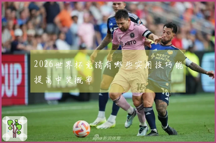2026世界杯竞猜有哪些实用技巧能提高中奖概率