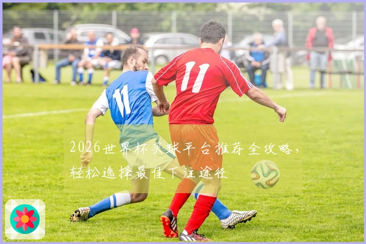 2026世界杯买球平台推荐全攻略，轻松选择最佳下注途径
